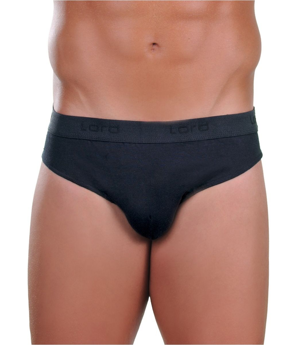 Brief