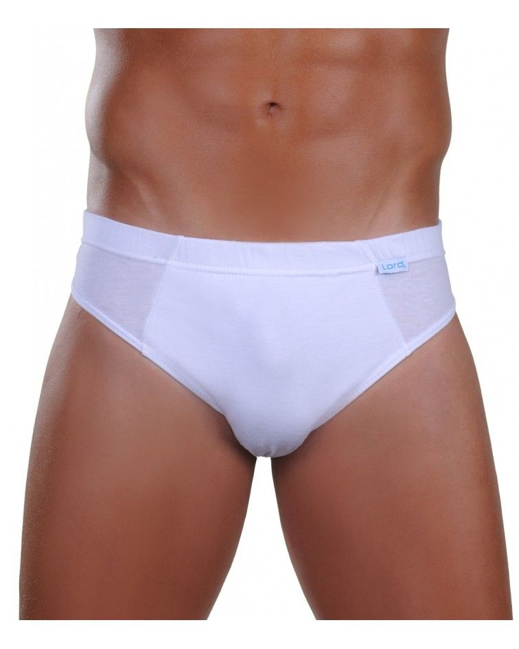 Brief