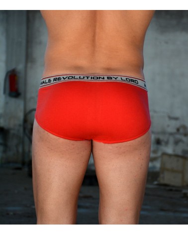 Brief  Revolution, red2