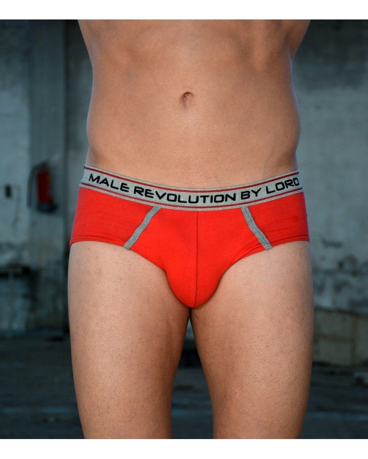 Brief  Revolution, red2
