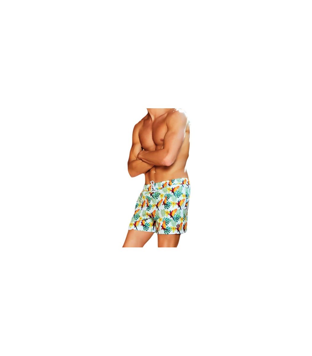Men swimwear, parot