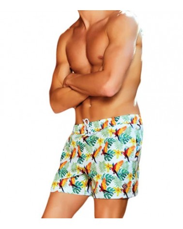 Men swimwear, parot