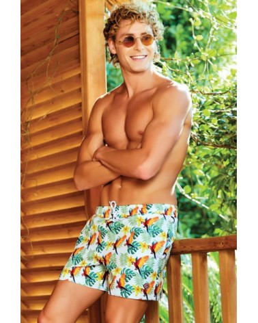 Men swimwear, parot